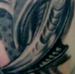 Tattoos - BIO FUSION II  - 23021